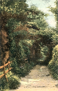 w300oxted_lane