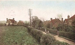 wBHL1910px256